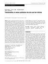 Transformation of Amnion Epithelium into Skin and Hair Follicles