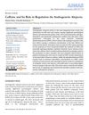 Caffeine and Its Role in Regulating Androgenetic Alopecia