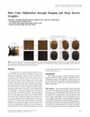 Hair Color Digitization Through Imaging And Deep Inverse Graphics