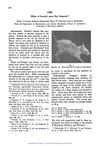 Effect of Inositol on Rat Alopecia