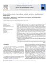 Molecular Interactions of Natural and Synthetic Steroids in Female Hamsters’ Flank Organs