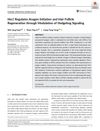 Hes1 Regulates Anagen Initiation and Hair Follicle Regeneration Through Modulation of Hedgehog Signaling