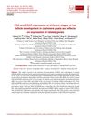 EDA and EDAR Expression at Different Stages of Hair Follicle Development in Cashmere Goats and Effects on Expression of Related Genes
