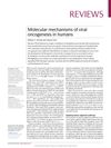 Molecular Mechanisms of Viral Oncogenesis in Humans
