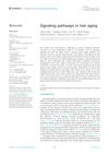 Signaling Pathways in Hair Aging