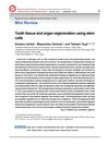 Tooth Tissue and Organ Regeneration Using Stem Cells