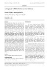 Androgens in SARS-CoV-2 Coronavirus Infections