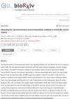 Dissecting the Microenvironment Around Biosynthetic Scaffolds in Murine Skin Wound Healing