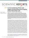 In Vivo Monitoring of Hair Cycle Stages via Bioluminescence Imaging of Hair Follicle NG2 Cells