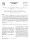 Synergistic Effect of Bismuth Subgallate and Borneol on Skin Wound Healing