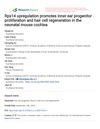 Rps14 Upregulation Promotes Inner Ear Progenitor Proliferation and Hair Cell Regeneration in the Neonatal Mouse Cochlea