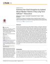 Extensive Hair-Shaft Elongation by Isolated Mouse Whisker Follicles in Very Long-Term Gelfoam Histoculture
