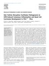 Hair Follicle Disruption Facilitates Pathogenesis to UVB-Induced Cutaneous Inflammation and Basal Cell Carcinoma Development in Ptch+/- Mice