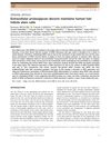 Extracellular Proteoglycan Decorin Maintains Human Hair Follicle Stem Cells