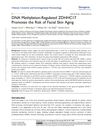 DNA Methylation-Regulated ZDHHC17 Promotes the Risk of Facial Skin Aging
