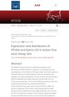 Expression and Distribution of EPHA4 and Ephrin A3 in Aohan Fine-Wool Sheep Skin