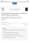 The Importance of Basonuclin 2 in Adult Mice and Its Relation to Basonuclin 1