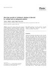 Root Hair Growth in Arabidopsis Thaliana Is Directed by Calcium and an Endogenous Polarity