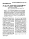 The Role of the Adrenal Glands in Regulating Onset of Winter Fur Growth in Mink (Mustela Vison)