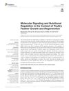 Molecular Signaling and Nutritional Regulation in the Context of Poultry Feather Growth and Regeneration