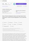 Role of Sulfur Metabolism Gene and High-Sulfur Gene Expression in Wool Growth Regulation in the Cashmere Goat