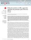 Molecular Evolution of HR, a Gene That Regulates the Postnatal Cycle of the Hair Follicle