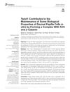 Twist1 Contributes to the Maintenance of Some Biological Properties of Dermal Papilla Cells In Vitro by Forming a Complex With Tcf4 and β-Catenin