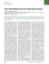 Stem Cells Sheltered from Air-Raids Repair Airways