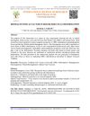 Biomagnetism as a Factor in Red Blood Cells Deformation