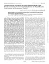 Characterization of a Cluster of Human High/Ultrahigh Sulfur Keratin-Associated Protein Genes Embedded in the Type I Keratin Gene Domain on Chromosome 17q12-21