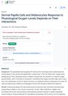 Dermal Papilla Cells and Melanocytes Response to Physiological Oxygen Levels Depends on Their Interactions