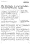 DNA Determination of Human Hair Bulbs in Normal and Androgenetic Alopecia
