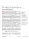 Effects of Short-Term Finasteride on Apoptotic Factors and Androgen Receptors in Prostate Cancer Cells