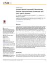 Human Dermal Fibroblasts Show Positive Immunostaining for Neuron and Glia Specific Proteins
