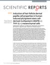 Induction of Hair Follicle Dermal Papilla Cell Properties in Human Induced Pluripotent Stem Cell-Derived Multipotent LNGFR(+)THY-1(+) Mesenchymal Cells
