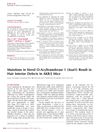 Mutations in Sterol O-Acyltransferase 1 (SOAT1) Result in Hair Interior Defects in AKR/J Mice