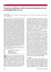 Cutaneous Xanthomas With Concurrent Demodicosis and Dermatophytosis in a Cat
