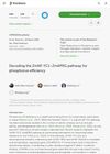 Decoding the ZmNF-YC1–ZmAPRG Pathway for Phosphorus Efficiency