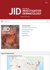 Skin Aging and Carcinogenesis Mechanisms by Focusing on the Stem Cell Competitive Dynamics