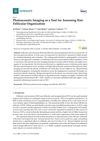 Photoacoustic Imaging as a Tool for Assessing Hair Follicular Organization
