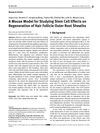 A Mouse Model for Studying Stem Cell Effects on Regeneration of Hair Follicle Outer Root Sheaths