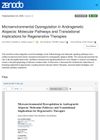 Microenvironmental Dysregulation in Androgenetic Alopecia: Molecular Pathways and Translational Implications for Regenerative Therapies