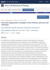 Functional Regeneration Strategies of Hair Follicles: Advances and Challenges