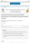 Cholesterol Homeostasis in Hair Follicle Keratinocytes Is Disrupted by Impaired ABCA5 Activity