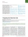 Regulating Hair Follicle Stem Cells