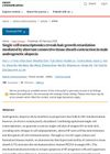 Single-Cell Transcriptomics Reveals Hair Growth Retardation Mediated by Aberrant Connective Tissue Sheath Contraction in Male Androgenetic Alopecia