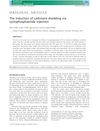 The Induction of Cashmere Shedding via Cyclophosphamide Injection