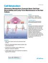 Glutamine Metabolism Controls Stem Cell Fate Reversibility and Long-Term Maintenance in the Hair Follicle