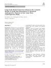 Large-Scale Beard Extraction Enhances Cosmetic Results of Scalp Hair Restoration in Advanced Androgenetic Alopecia in East Asian Men: A Retrospective Study