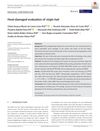 Heat-Damaged Evaluation of Virgin Hair